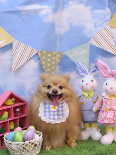 20240301リーくん